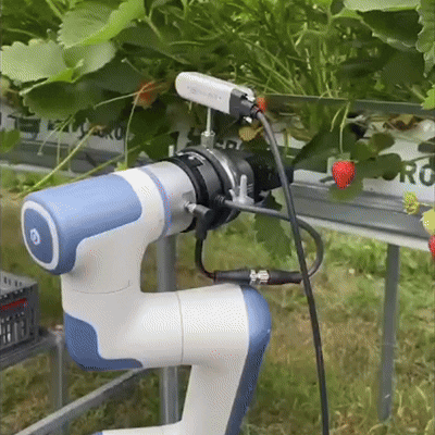 Robot picking demonstration